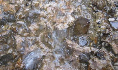 С��Ϊ�˲�����ɽ�ڿ�Ѱ���������ĸ�����������Ӧ���£�