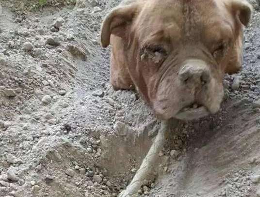 ���ӳ����޹���ȴ���ⷢ��һ���������񣬽���ȳ�������������ʹ
