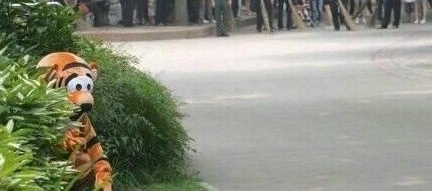 Ϊ˷ֹϻܣ԰һɱӺҵ