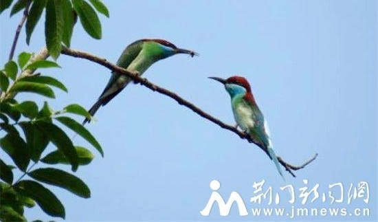 ��ɽ���֡��й�����С��