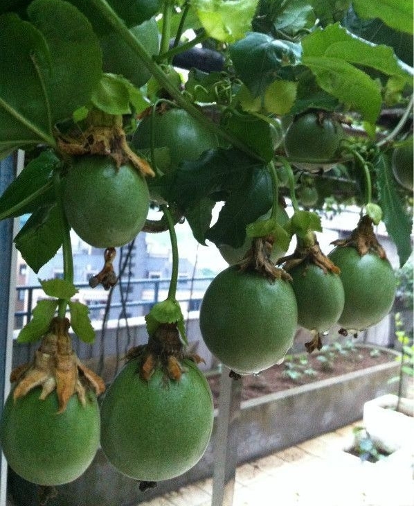 ����������ô��һ�����ӾͿ���������̨����Բ�����