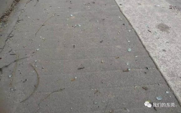 ҳݸˮɽ·ΣУײĿȫǣѧԱ