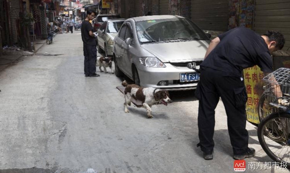 ����7����ͯ�������� ��֫�ҵ��ӷ�����