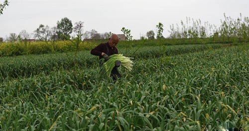 ������Ůû��Ů����ѧ�����˳� ũ�常ĸ��1����Ů����