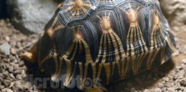 ���������������ߗ����վA���ڽ��׹���һ���������