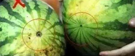 ?Ҫ,ֻҪ׼λ, Ϸ