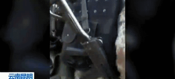 �ֳ���Ƶ�������ӷ����ֲ��ڲ�ʯ������ ���˺󱻲�