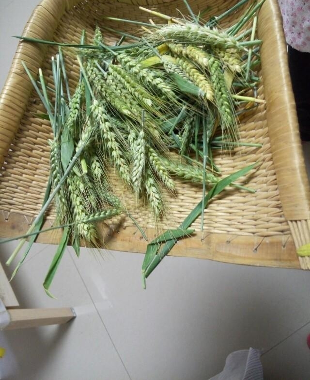 ���������б�Ե��������������Ƶ���ʵ��̫��ϧ�����������ų�