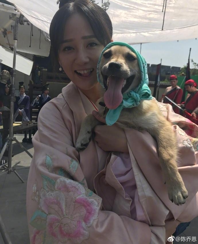 �ó��磡���Ƕ���װ������ҹ�빷������ͷ����