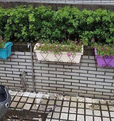 Ů��С������һ���ߣ�Բ�����Ķ��ӣ��ô�����۷׷ף�