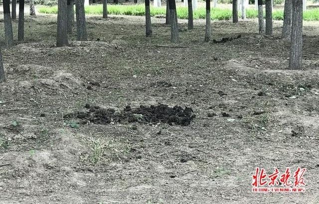 ����ĳ��Ұ��԰��ɢ���� �������ǡ����аԵ����Ż�����