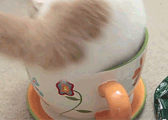�����Ѿ�������������Ķ��ǡ���������Ϊɶ�������ǡ�����