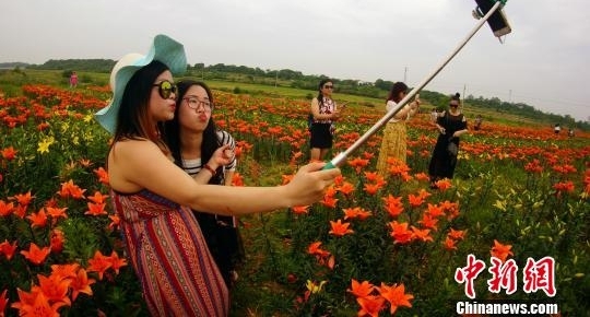 ���������ٺ�ʢ�ŷ����ƺ�