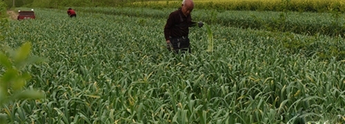 ������Ůû��Ů����ѧ�����˳� ũ�常ĸ��1����Ů����