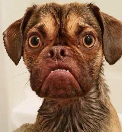 ⳤ౬ ˬֻ밲سԺ˯