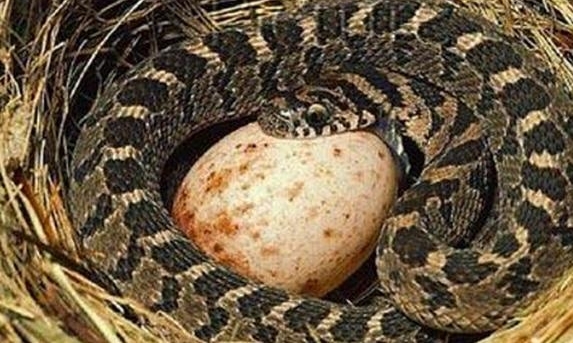 ǰһ ˶