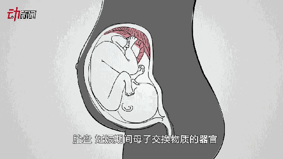 ��������ί��Ӧ������ҽԺ�ܱߵ���̥�̡�