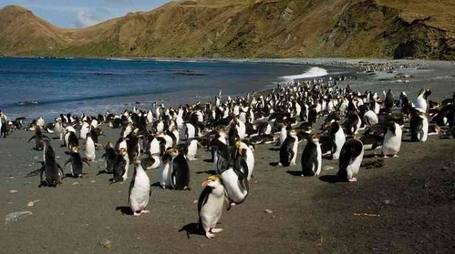 �Ĵ�����һС�������ռ�죬���ص���조���ĳ��֡�