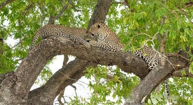 С���Ӿʹ����ϵ��¾���һ�̣�������һԾ����סС��!