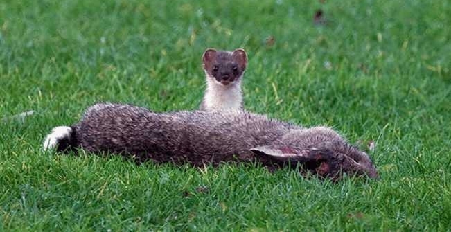 ������ǿ�������, �����ײ�, ���һ�����������!