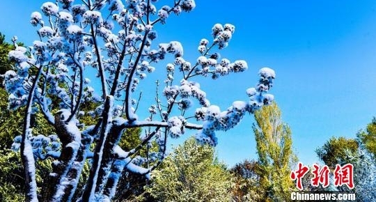 �������С��ĺ����ѩ �����뻭��