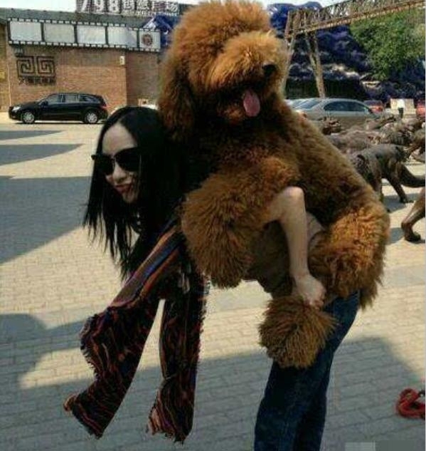 ԭ��̩�ϺͲ����������������ȱ�����˼���Ѿ�׼����ϵ�����ˣ�