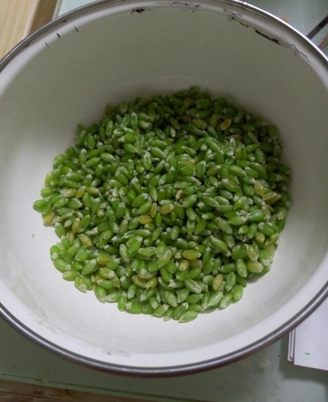 ���������б�Ե��������������Ƶ���ʵ��̫��ϧ�����������ų�