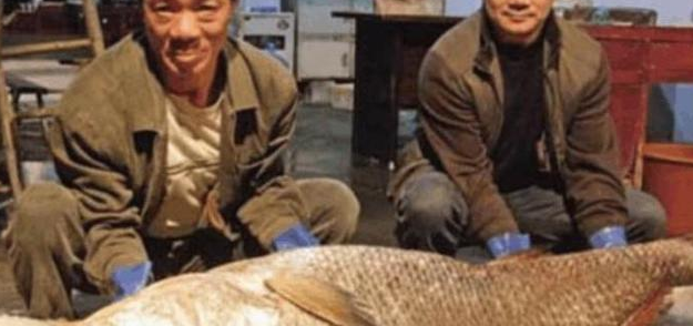 ������������ø�ר�Ҽ��������������������£�