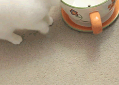 �����Ѿ�������������Ķ��ǡ���������Ϊɶ�������ǡ�����