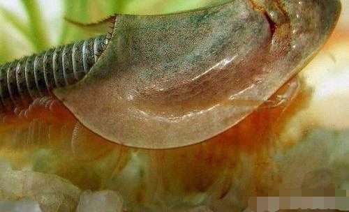 ��������ڹ���ˮ��������ܳ�������Ȼ�ڹ����Ϊ�ߵ����г���