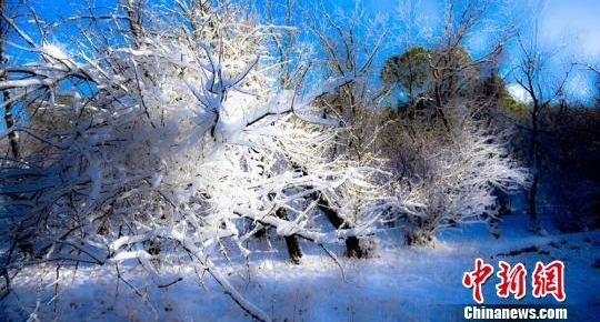 �������С��ĺ����ѩ �����뻭��