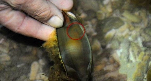 �����ں��߼񵽡���������ؼң�һ��ʱ���ȴ�����ǳ��ĺ���