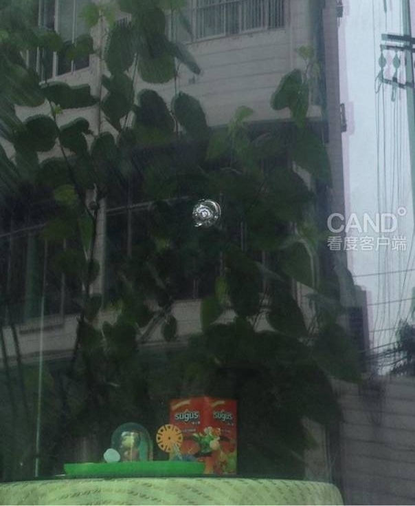 ������д������ա������� ҵ����ʾ�ܺ��£�