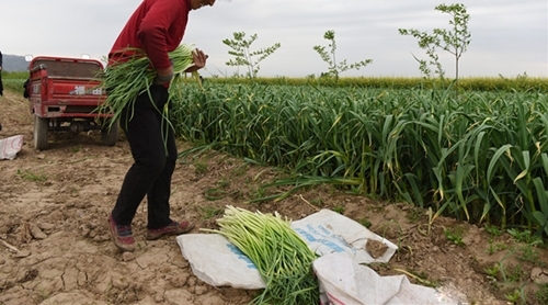 ������Ůû��Ů����ѧ�����˳� ũ�常ĸ��1����Ů����