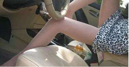 ��������Щ��Ů����˾�������ˣ������Ӷ����Բ�Ҫ�����ξ�����