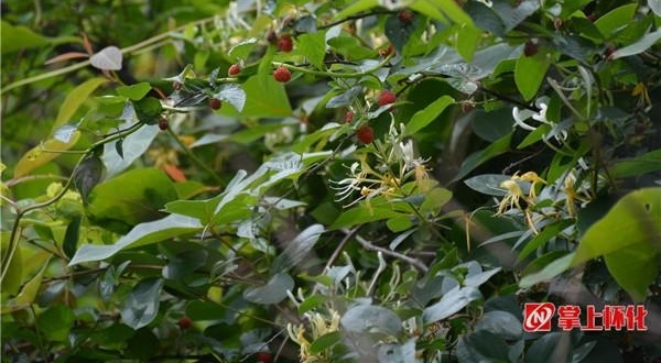 �����������ݡ������ζͯ������ζ��