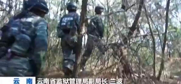 �ֳ���Ƶ�������ӷ����ֲ��ڲ�ʯ������ ���˺󱻲�