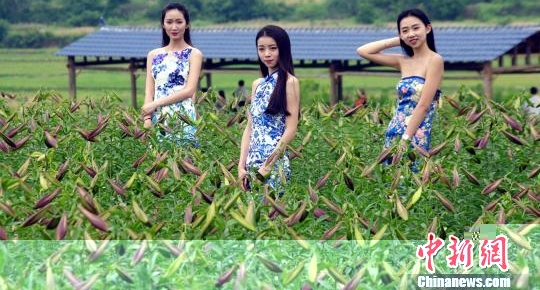 ���������ٺ�ʢ�ŷ����ƺ�