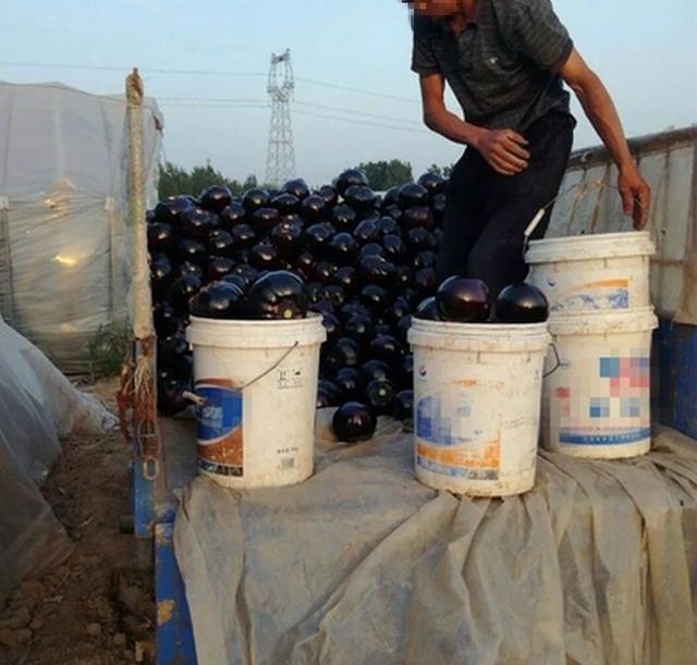 ���ӷ����ˣ�һ����7ëǮ����ү����̰�ڵĹ����������˲��ϳԣ�