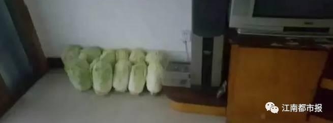 賿400ץ143ŮŮ ֳĿ