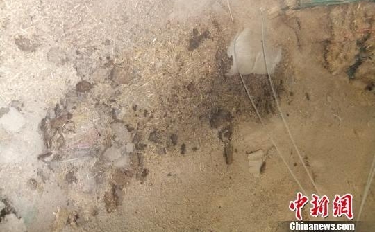 ������ִ��������ʱ��� ˭Ϊ�˸���