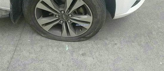 İ�������¼��ţ���үŭ�ų�̥��