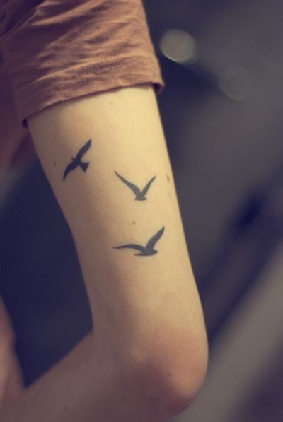 ֱһƯС