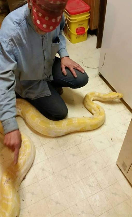 ����5�׳���������ͻȻ��ʧ�����ܺ��Ȼ�ڼҿ�����һĻ��