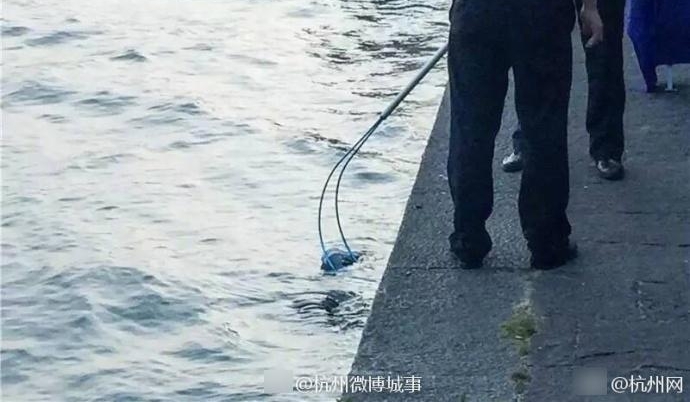 ������������һ�߸�ʬ