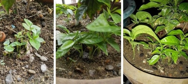 ����������ô��һ�����ӾͿ���������̨����Բ�����