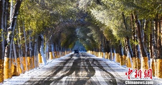 �������С��ĺ����ѩ �����뻭��
