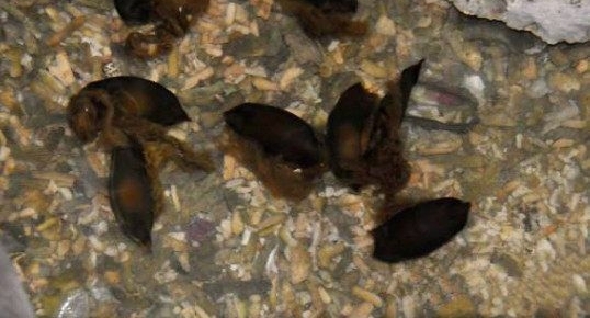 �����ں��߼񵽡���������ؼң�һ��ʱ���ȴ�����ǳ��ĺ���