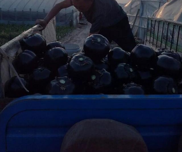 ���ӷ����ˣ�һ����7ëǮ����ү����̰�ڵĹ����������˲��ϳԣ�