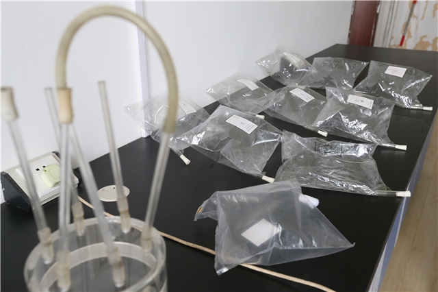 ���ų�ʦ������ζ����� ���Ŷ��������ͷ����